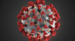 detail of a coronavirus particle with red spikes on its edge.